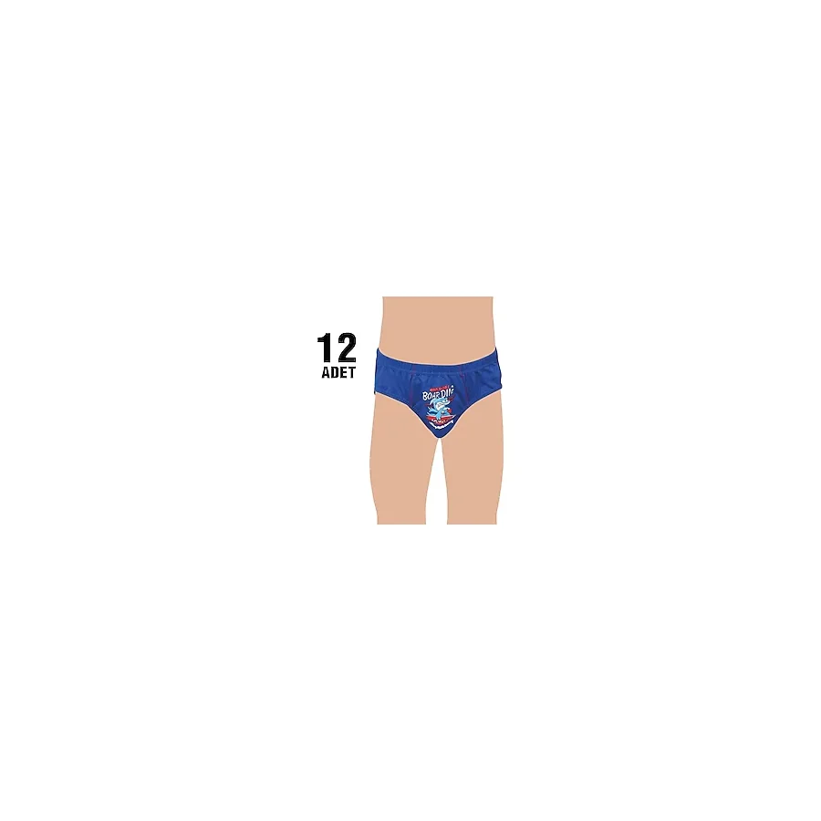0138 Erkek Çocuk Elestan Baskili Slip Kulot 12Li