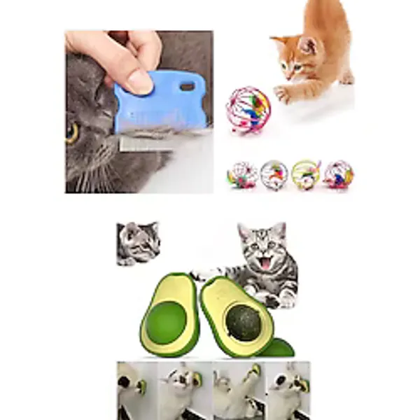 1 Adet Kedi Bit Pire Tarağı Hareketli Kedi Oyuncağı Avokado Kedi Nanesi Seti