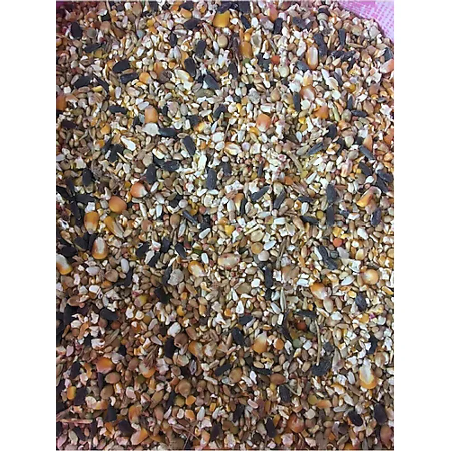 10 kg karışık güvercin yemi