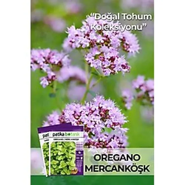 100 Adet Oregano / Mercanköşk Bitkisi Tohumu (Origanum vulgare)