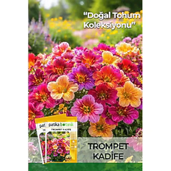 100 Adet Trompet Kadife Çiçek Tohumu (Salpiglossis Sinuata)
