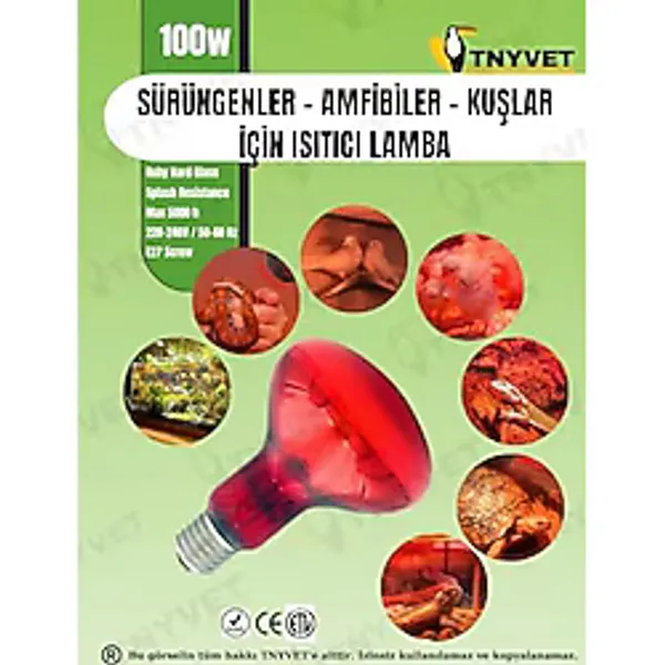 100 Watt Kızılötesi/Kırmızı Işık Isıtıcı Lambalar Sürüngenler, Amfibiler Ve Kuşlar İçin