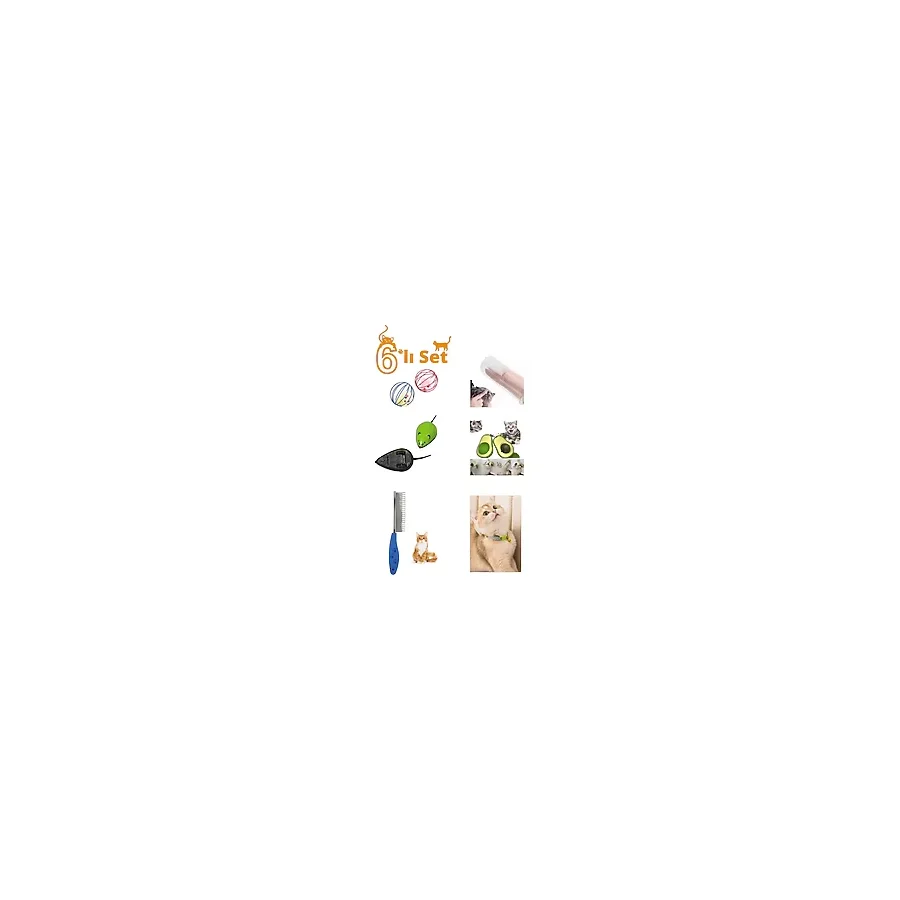 2 Adet Kedi Oyuncağı 1 Adet Tüy Açma Tarağı Avokado Kedi Nanesi Diş Fırçası Zilli Kedi Tasması Seti
