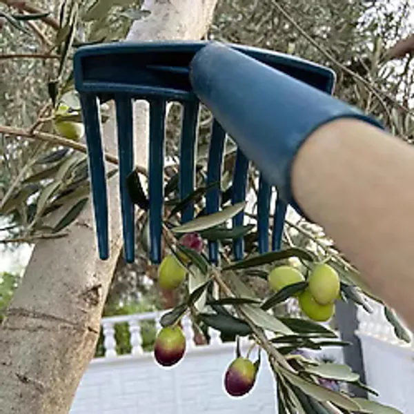 2'Li Zeytin Tırmığı Ve Zeytin Sapı Paketi 2 Adet 7 Dişli Zeytin Toplama Aparatı 2 Adet Tırmık Sapı