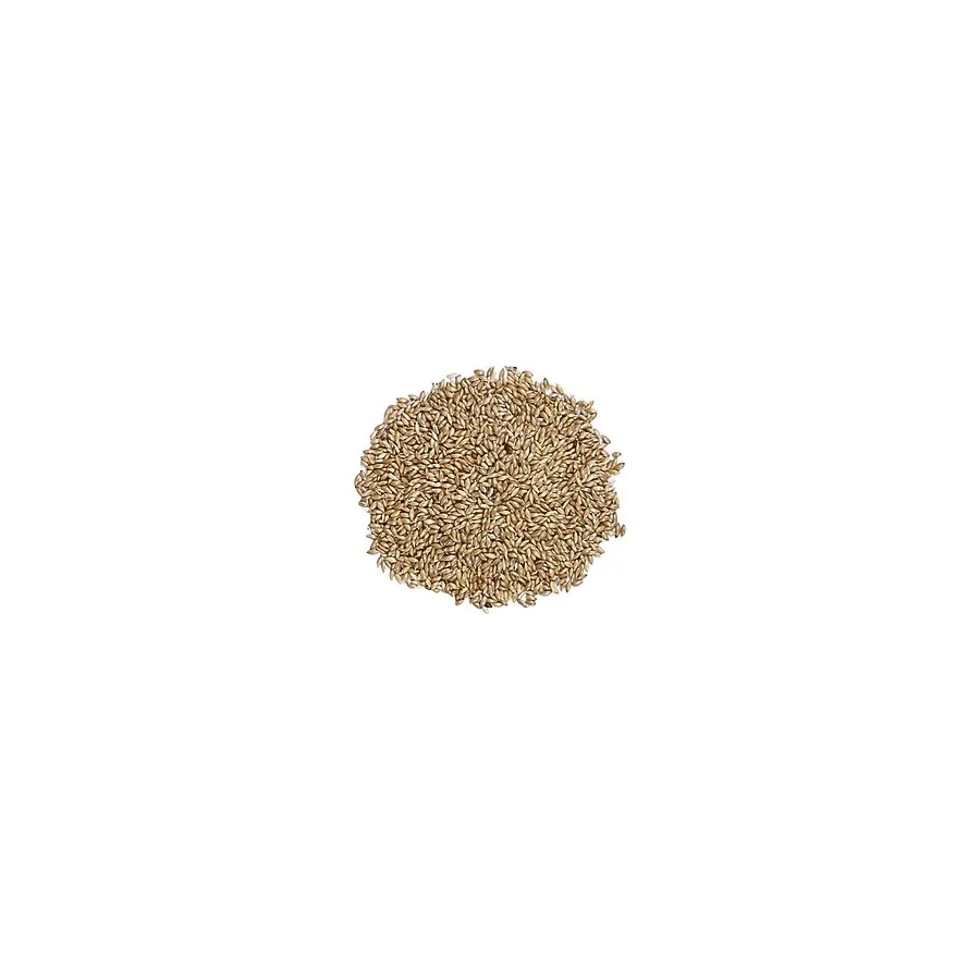 20Kg Sade Kanarya Yemı