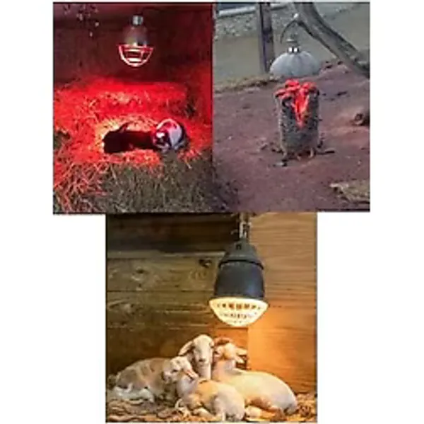 250W Kızılötesi Infrared Hayvan Isıtma ve Fizik Tedavi Lambası, Kırmızı Işık, BR125 - 0,5 W - Altın