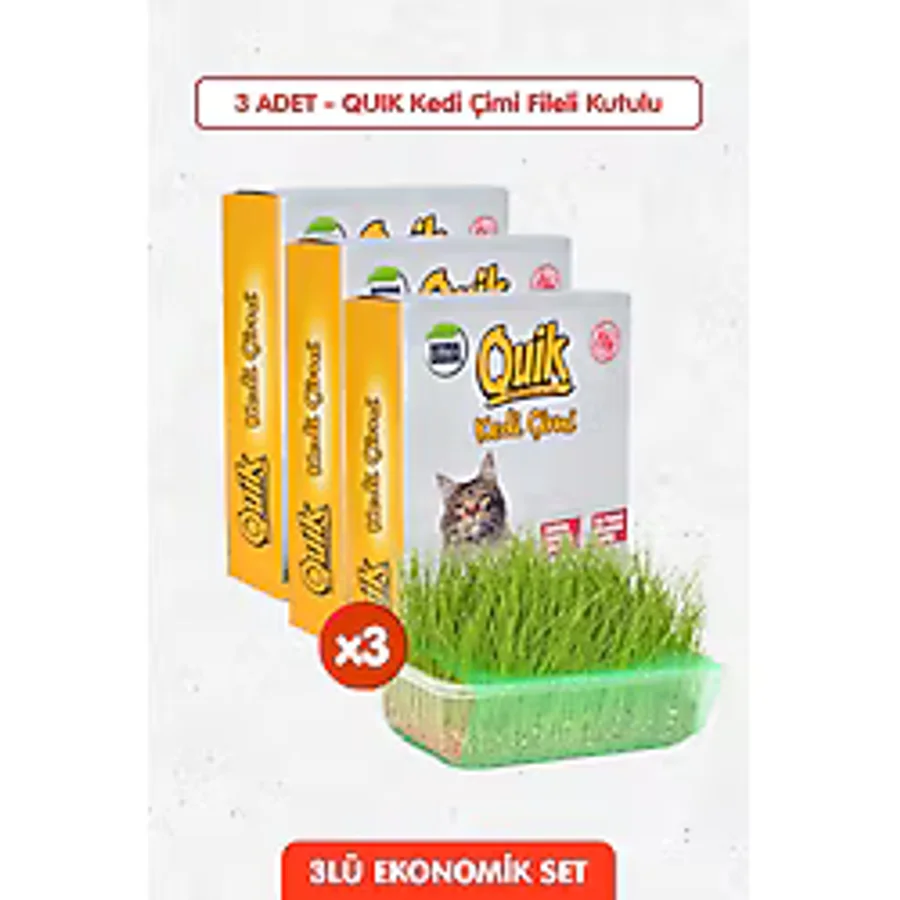 3 Adet Doğal Kedi Çimi Fileli Ve Kutulu Tüy Yumağı Önleyici