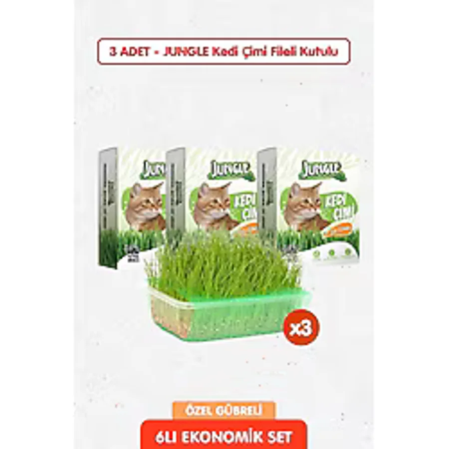 3 Adet Özel Gübreli %100 Doğal Kedi Çimi Fileli Ve Kutulu Tüy Yumağı Önleyici