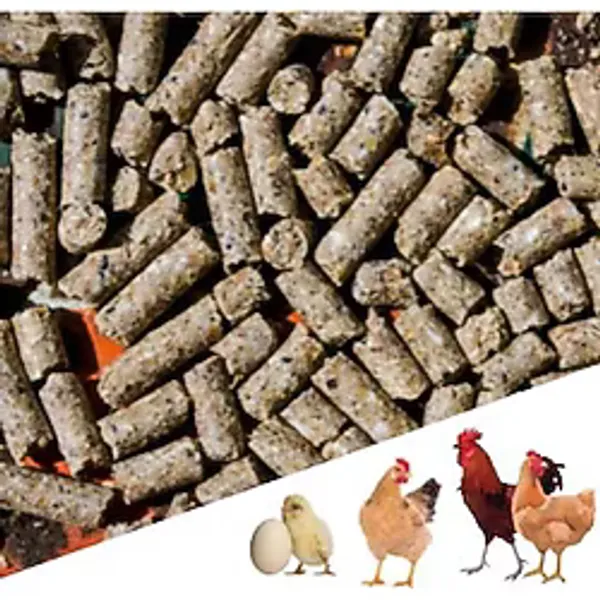 3 Kg Pelet Proteinli Özel Tavuk Kaz Ördek Ve Kanatlı Hayvan Besi Yumurta Yemi 3 Kg