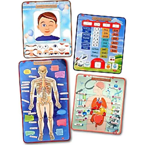 4 Set 127 Parça Tox İskelet , İç Organlar Sistemi , Takvim ve Duyguları Öğreniyorum Keçe Cırtlı Duvar Panoları , Eğitici Oyuncak