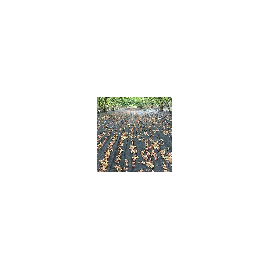 4X5 Metre Fındık Sergisi Fındık Toplama Filesi Fındık Kurutma Örtüsü 40Lık Gölgelik Fındık Altı File Hasat Taban Örtüsü