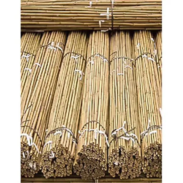 50 Adet Bambu Bitki Fidan Destek Çubuğu 190 - 200 Cm