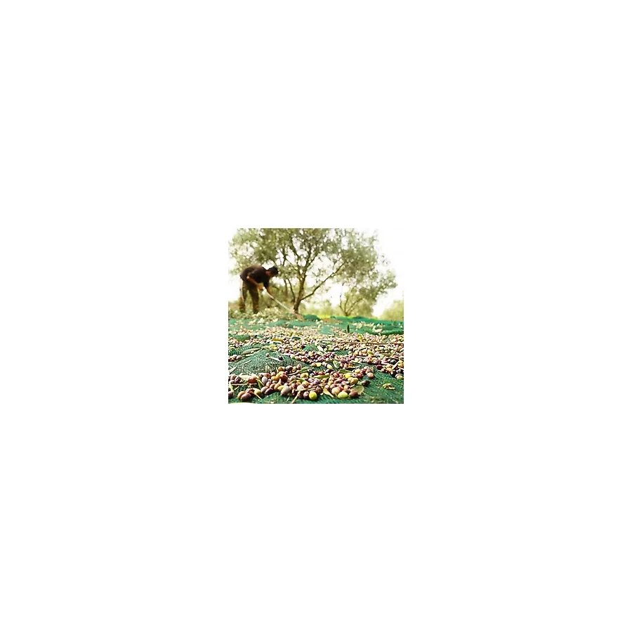 5X8 Metre Zeytin Sergisi Zeytin Toplama Filesi Fındık Fıstık Örtüsü Gölgelik Dut Meyve Sergisi Taban Örtüsü