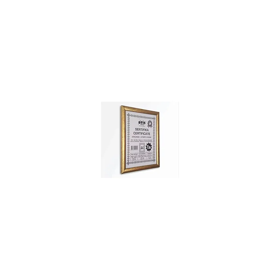 A4 Fotoğraf Belge Resim Çerçevesi Sertifika Pvc Camlı 21x30