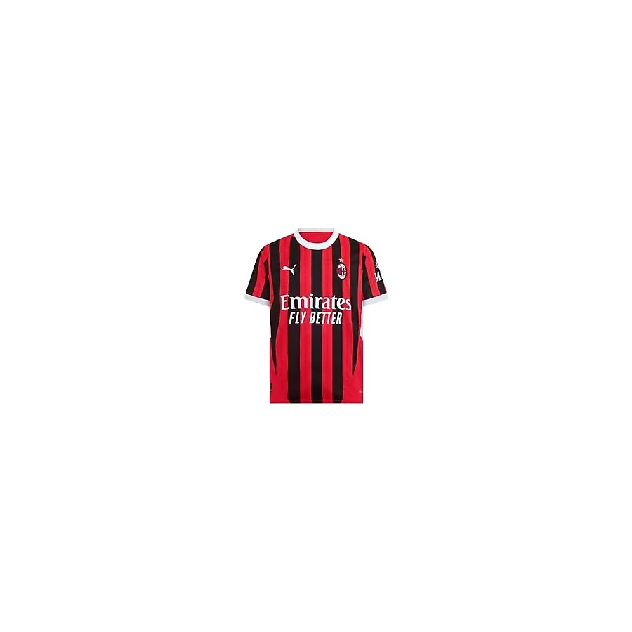AC Milan 24/25 Erkek İç Saha Forma