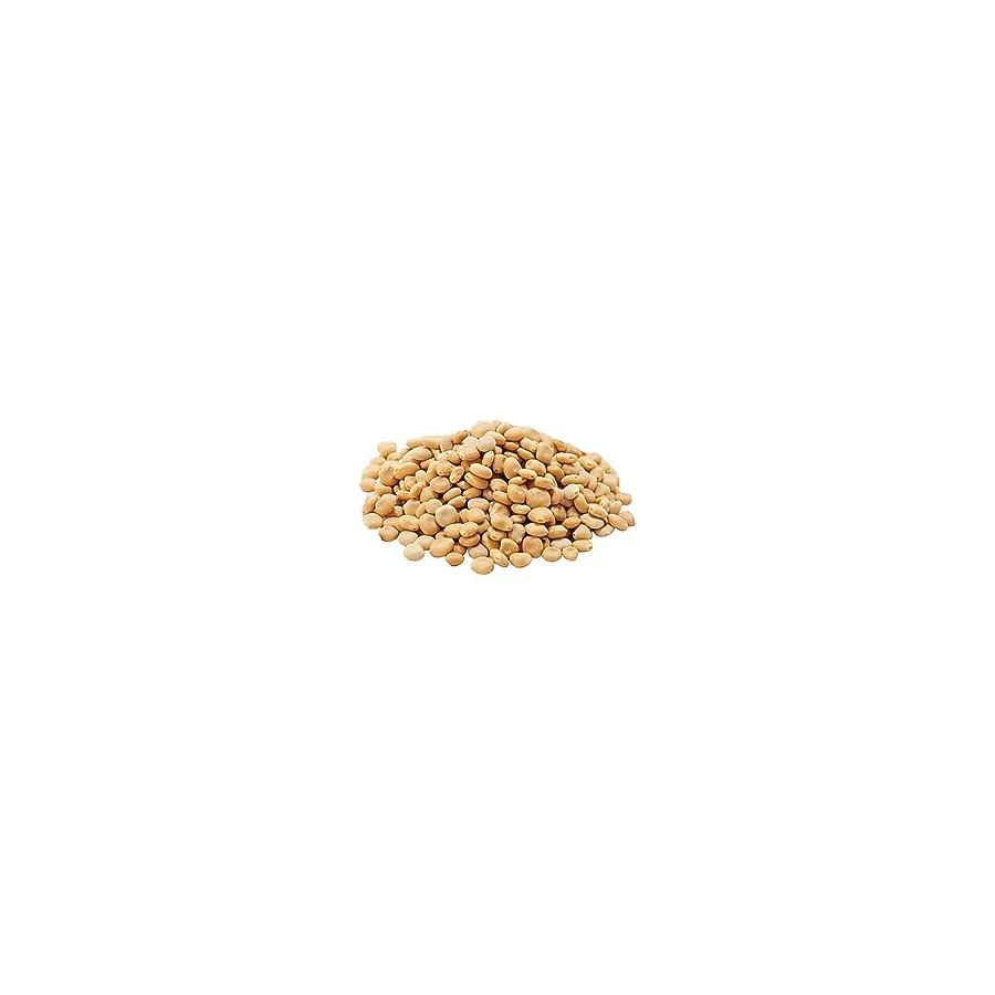 Acı Bitkisel Tohum Tohumu 50 Gr Pkt