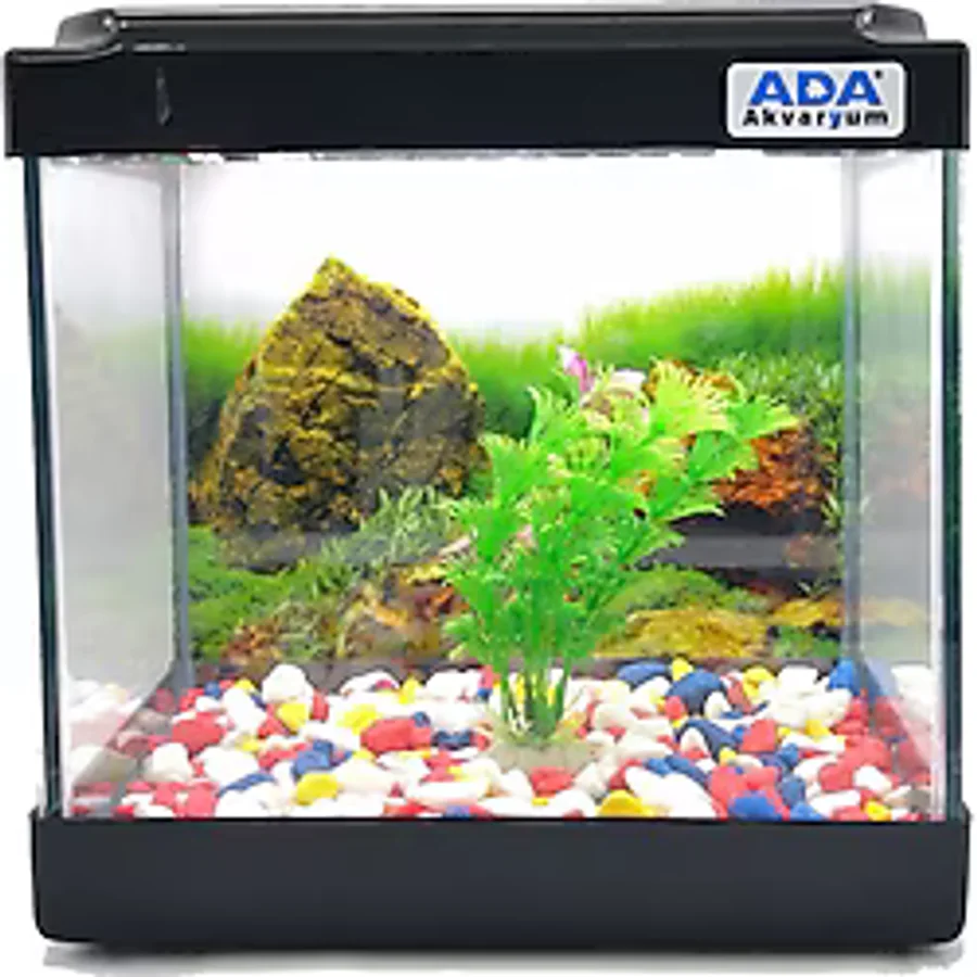 Ada Akvaryum Mini Akvaryum Seti 20 x 20 x 15 CM