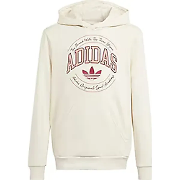 Adidas VRCT IN0623 Kapüşonlu Çocuk Sweatshirt