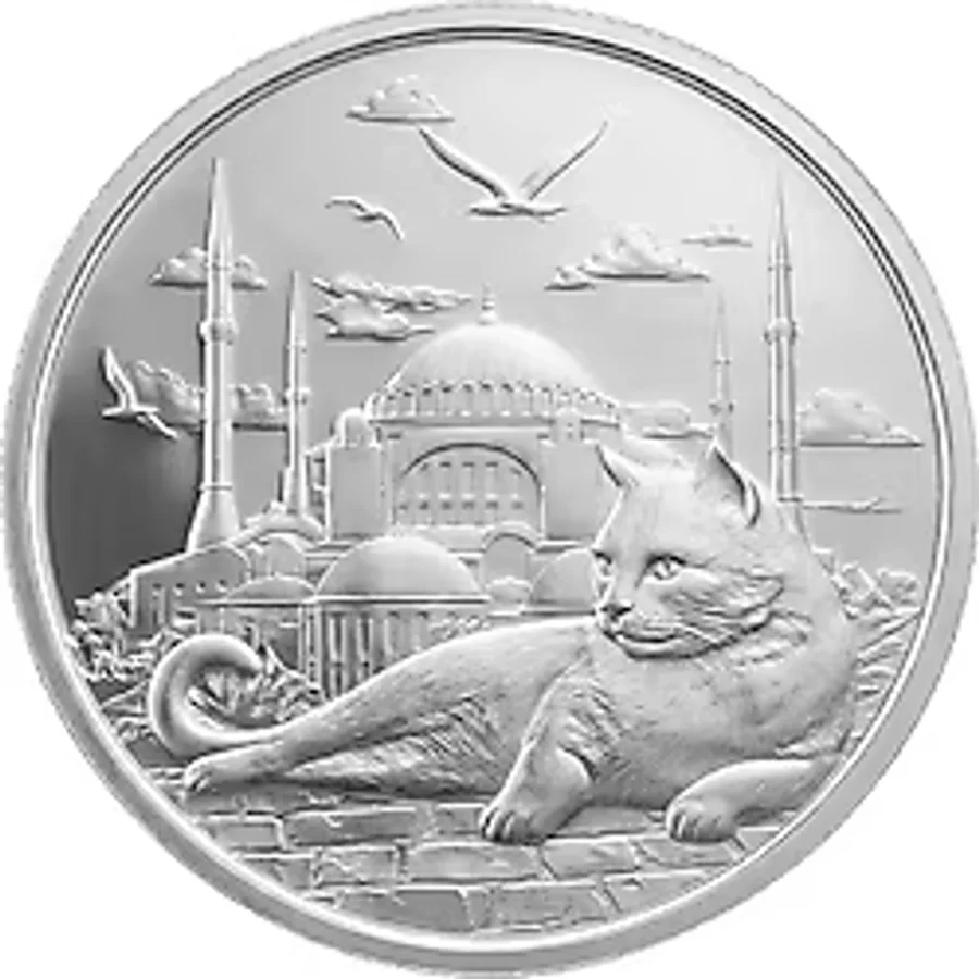 AgaKulche İstanbul Kedisi Gümüş Sikke Coin
