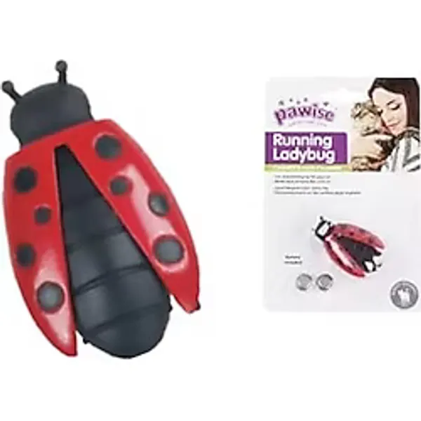 Akıllı Durak Uğur Böceği Hareketli Kedi Oyuncağı