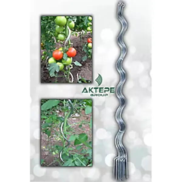 AKTEPE Group Bitki Çubuğu 10 Adet 150 Cm Metal Spiral Bitki Teli Ve Desteği Fidan Bağlama Teli Ve Çiçek Teli