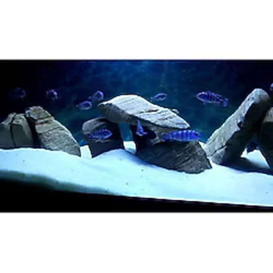 alişpet Kumu Beyaz Kalsit Silis 10 Kg Kalsitbsilis1-2mm