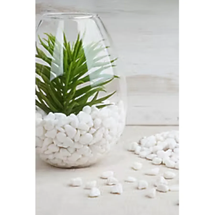 Alyones 1 kg Dolomit Taş 1 2 cm Akvaryum Taşı Çakıl Taşı Bahçe Saksı Taşı Dere Taşı - Beyaz