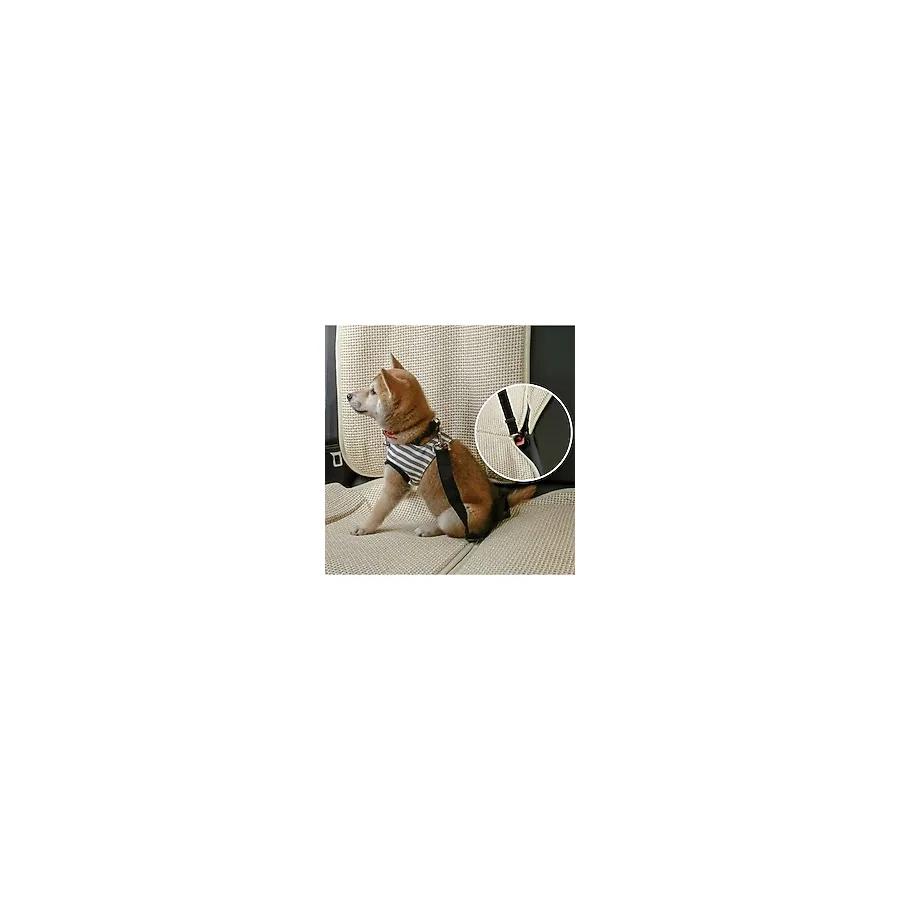 Ankaflex Evcil Hayvan Araç Emniyet Kemeri Kedi Köpek Araba Oto Tasması Oto Aksesuarları Siyah