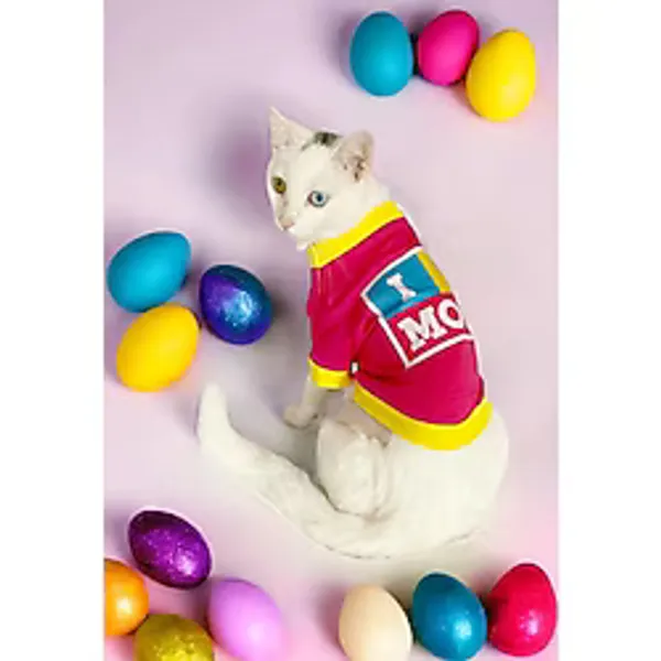 Annelere Hediye, Hediye Paketli, I Love Mom Pink, Oval Yaka Tişört Kedi Kıyafeti,Elbisesi Anneler Günü, Anne