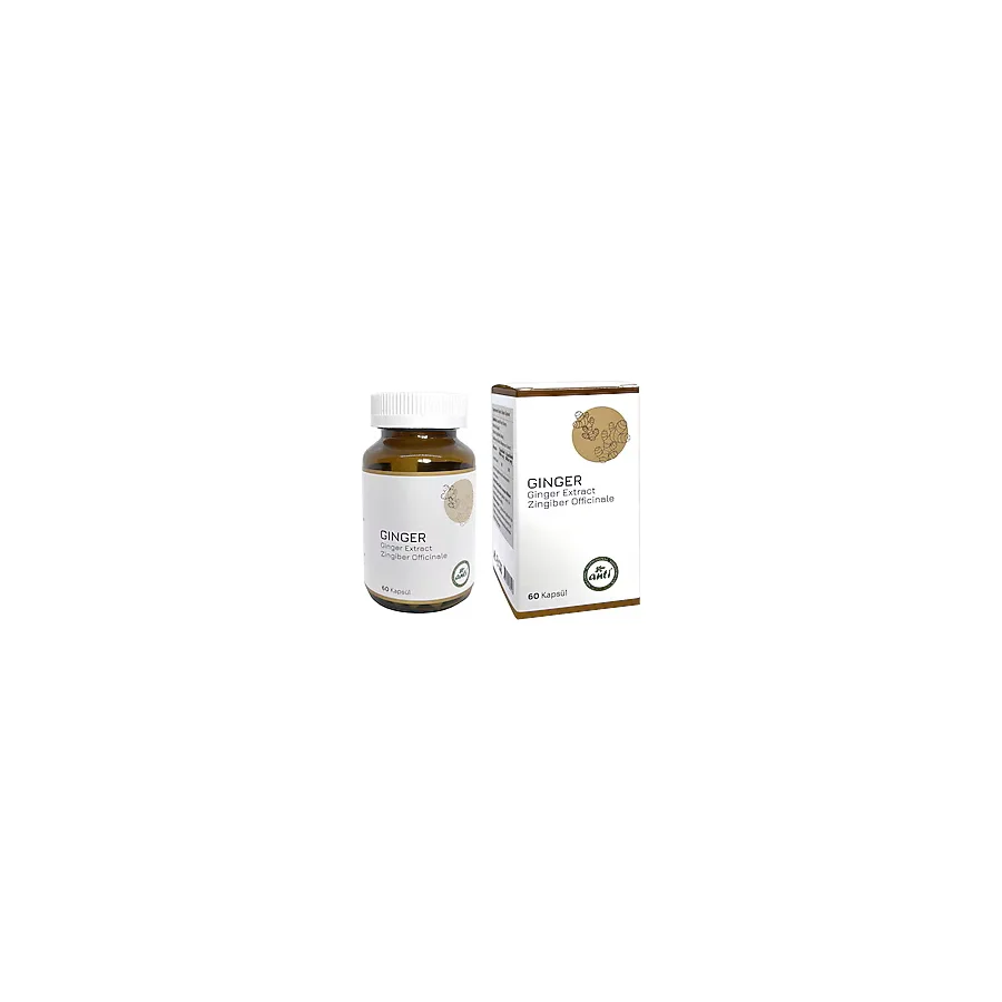 Anti Ginger Extract Zencefil Ekstresi 60 Kapsül
