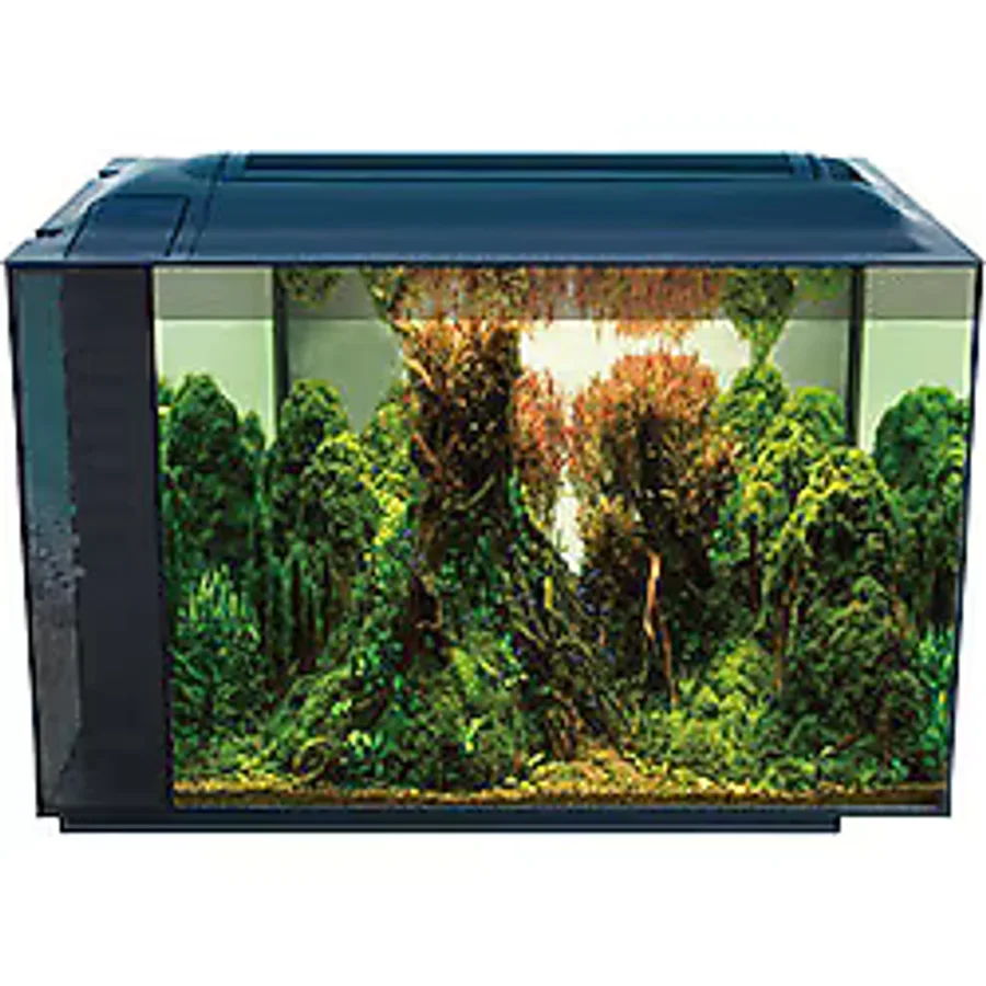 Anubias Corydoras 55 Nano Akvaryum Siyah 55,5X29,5X32 Cm
