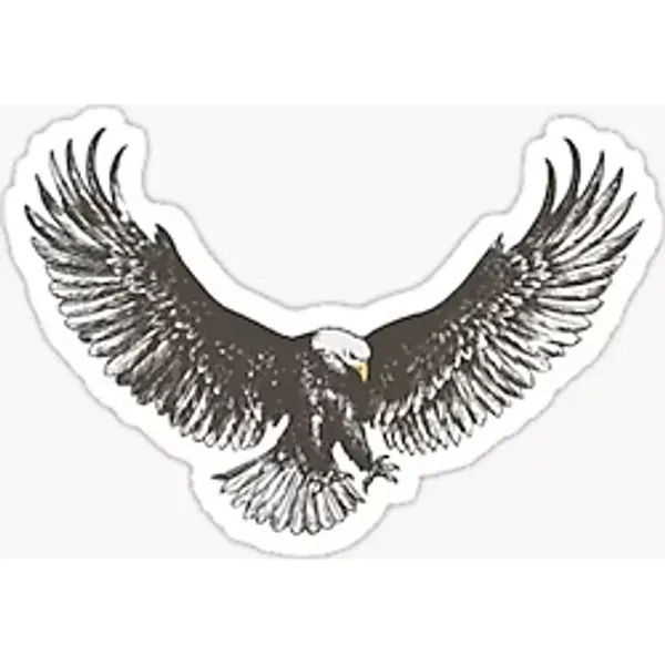 Araba için Kartal Sticker Yapıştırması Etiket Oto Leptop 17CM x1