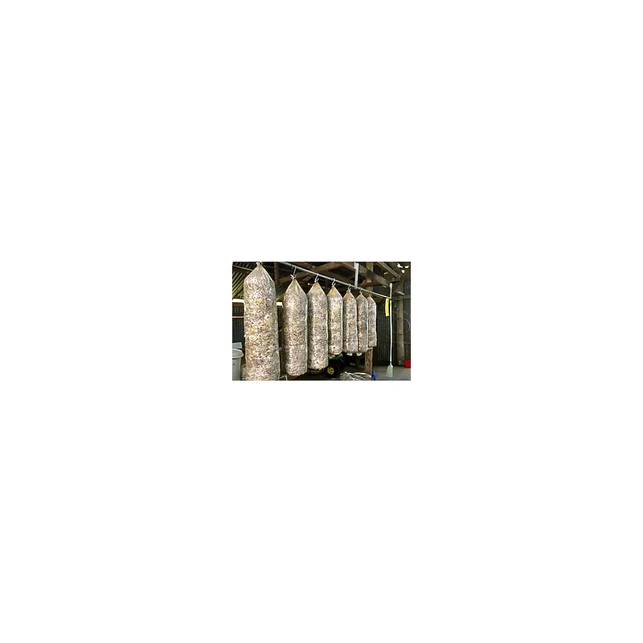 Arnego 8 Lt 4 Kg Istiridye Mantarı Miseli Tohum Kompostu Mantar Vermeye Hazır Durumda