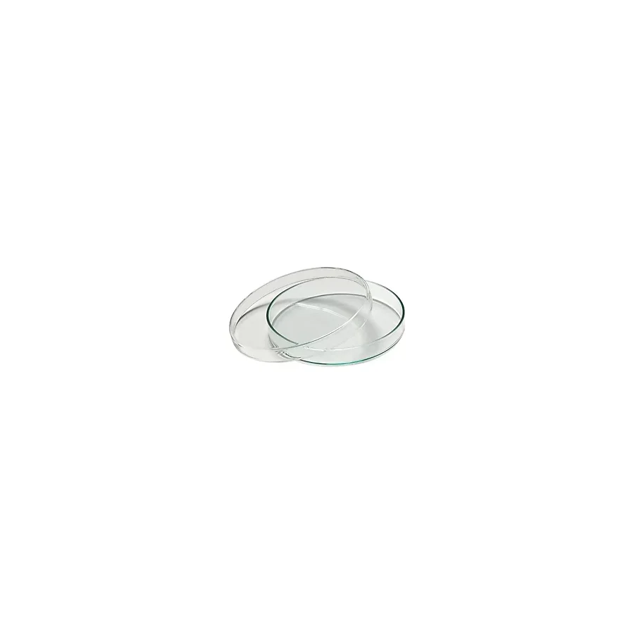 Aropi Petri Kutusu Kabı 60 x 15 mm Plastik Gamma Steril 10 Adet