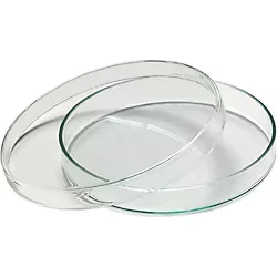Aropi Petri Kutusu-Kabı 60MMX15MM Plastik Gamma Steril 50 Adet