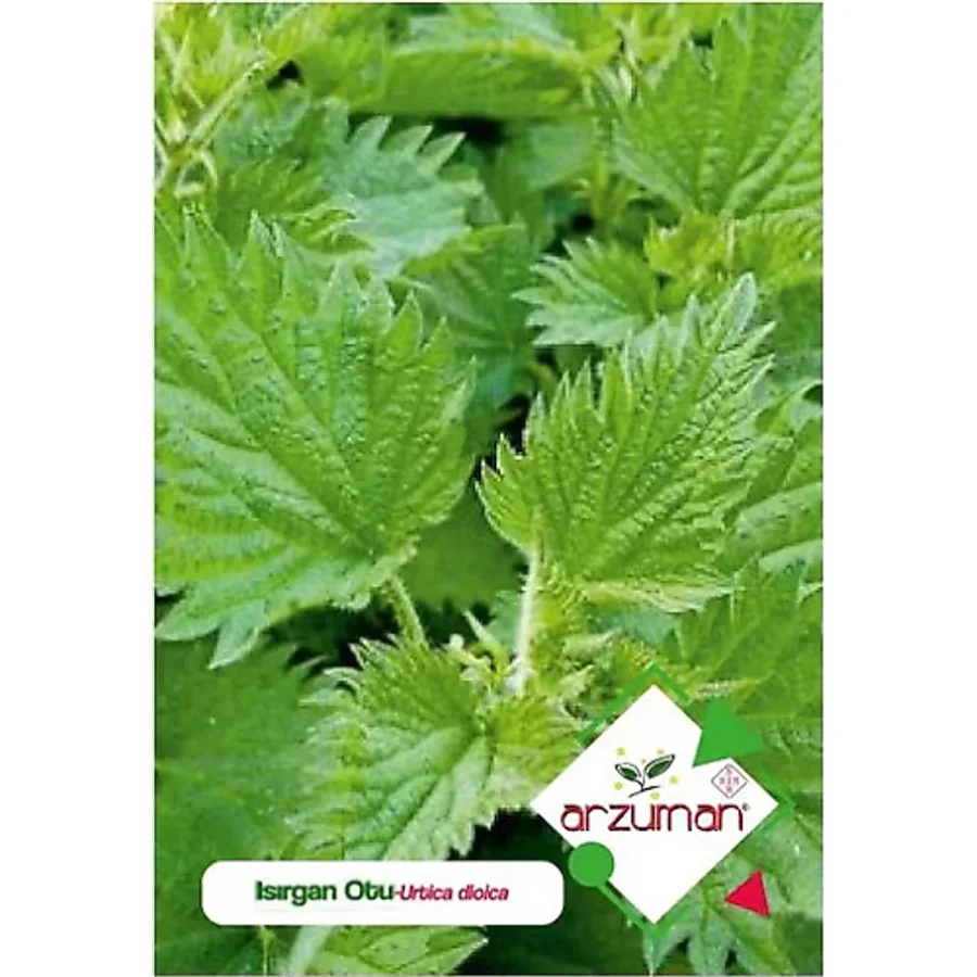 Arzuman Isırgan Otu Tohumu