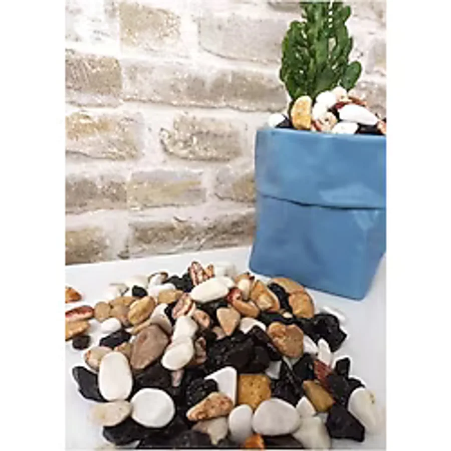 Asenya Renkli Çakıl Taşı 1 Kg 1-2 Cm Saksı Dibi Teraryum Saksı Süs Vazo Dibi Dekoratif Dolomit Taş