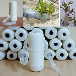 Aşı Bağı Silikonlu Aşı Bandı 1 Adet 200-220 Gr Arası