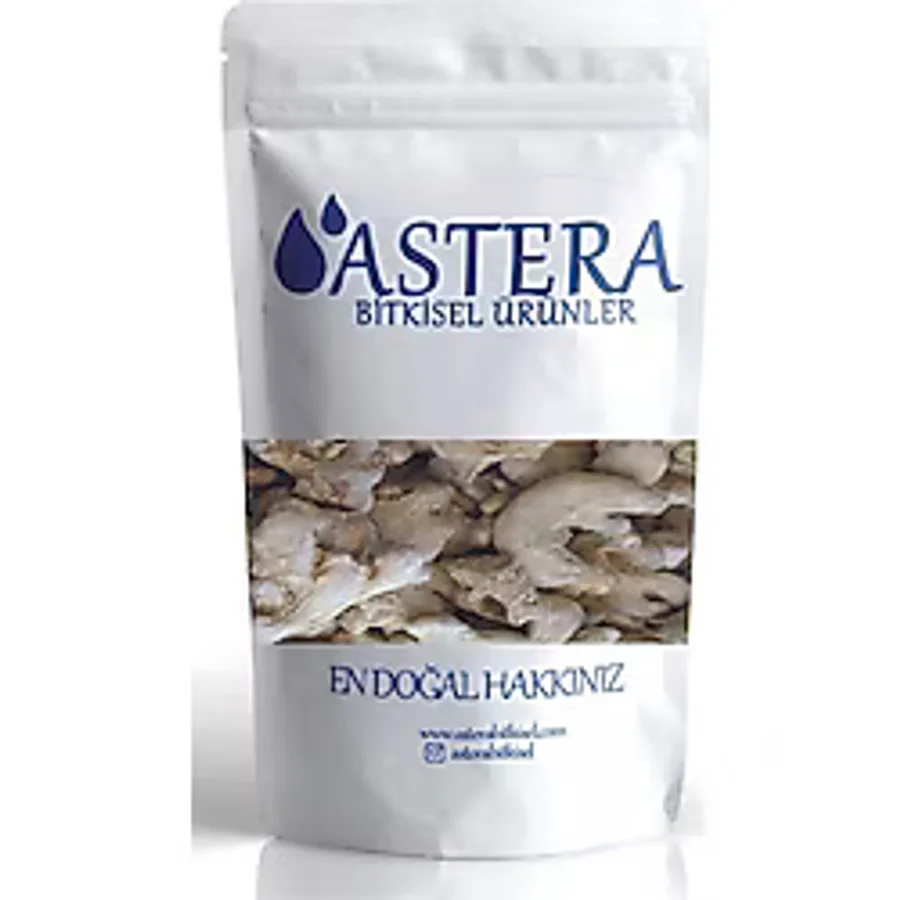Astera Tane Zencefil 750 gr