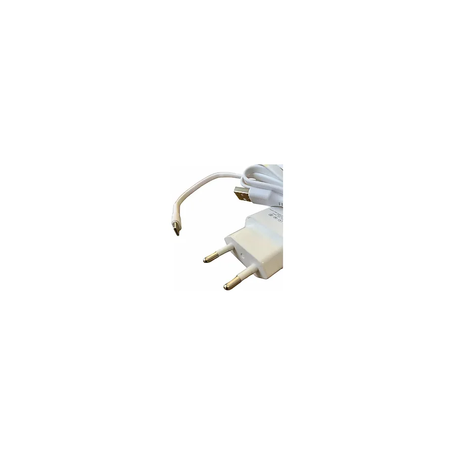 Ata Elektronik Tüm Cep Telefonları İçin Type C Type-C Duvar Şarj ve Data Kablosu 2 Amper + Kablo + Başlık 2li Set - Beyaz