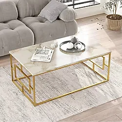 Ats Dekor Endüstriyel Tasarım Orta Sehpa - 100x60x40 - Gold Efes Mermer