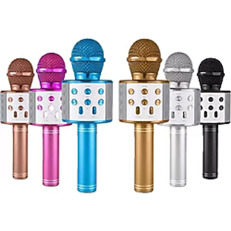 Auris Lera Accessories Karaoke Mikrofon