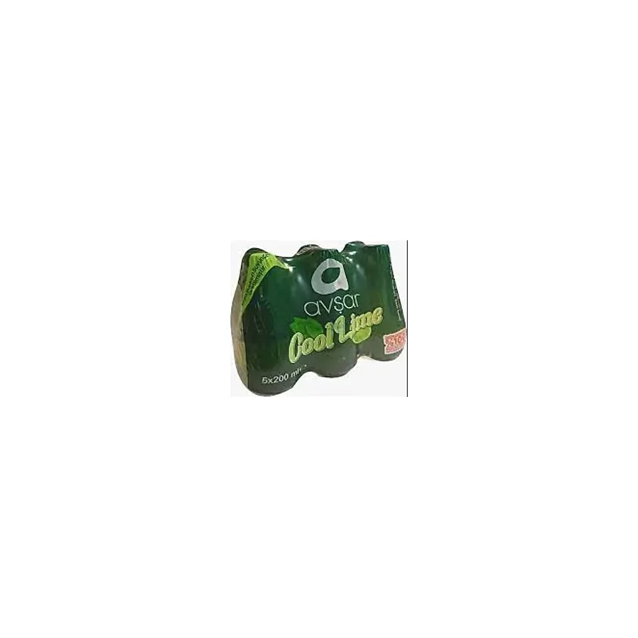 Avşar Cool Lime Nane Limon Aromalı Maden Suyu 6x200 ml