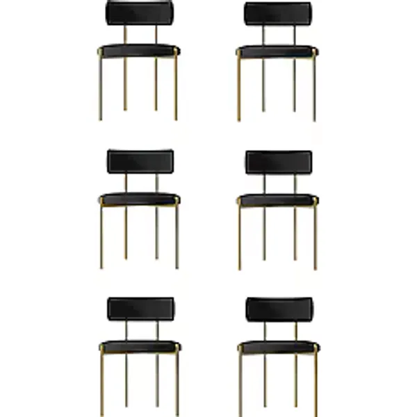 AVVİO Vista Mat Gold 6 'lI Yemek Odası Mutfak Masası Cafe Restorant Sandalyesi (TEDDY SANDALYE)