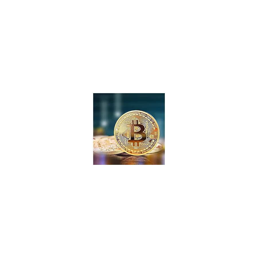 Ayder Bitcoin Madeni Hatıra Parası Madeni Bitcoin Hediye Sikke Para (Timya/Go1395) 204501