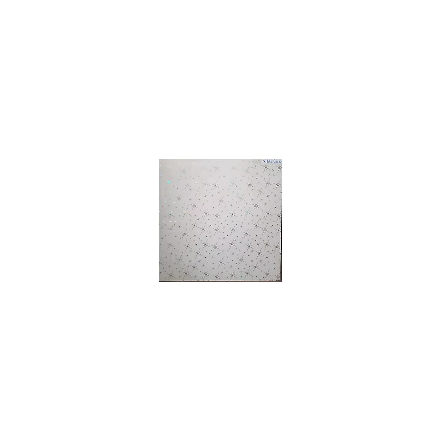 Aym Akasya Yapı Market 60X60 Pvc Asma Tavan Paneli 20 Adet (7,20 M2) ''Ürünlerimiz Sadece Panel Satışlıdır.''