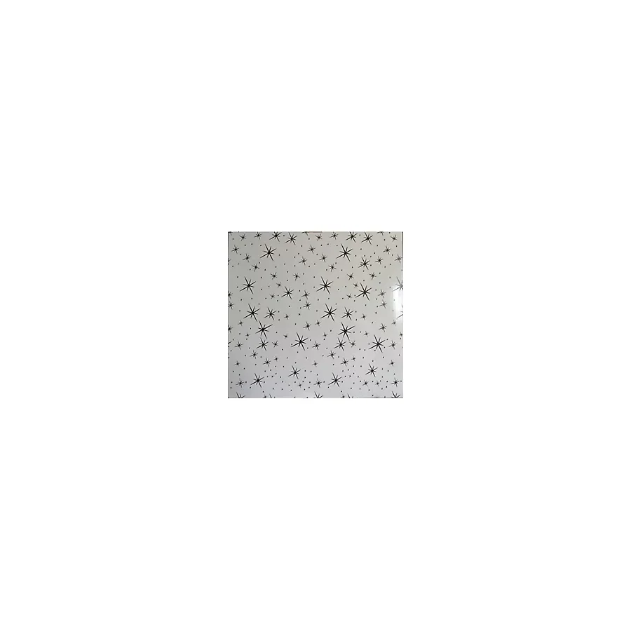 Aym Akasya Yapı Market 60X60 Pvc Asma Tavan Paneli Yıldız Desen 20 Adet ( 7,20 M2) Ürünlerimiz Sadece Panel Satışlıdır