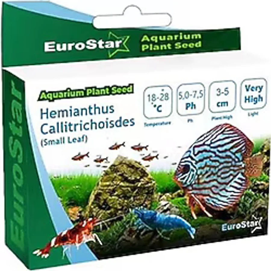 AyrStore Hemianthus Callitrichoides Akvaryum Bitkisi Tohumu