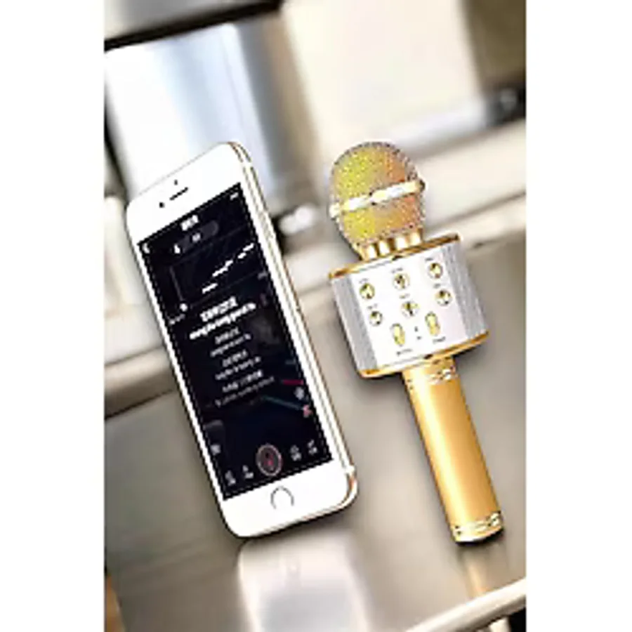 AyrStore Şarjlı ve Uzun Pil Ömürlü Karaoke Mikrofon USB Bellek Destekli, Profesyonel Ses
