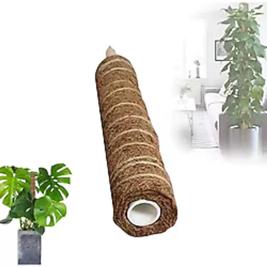Bahçem Koko Sarmaşık Destek Çubuğu 60cm